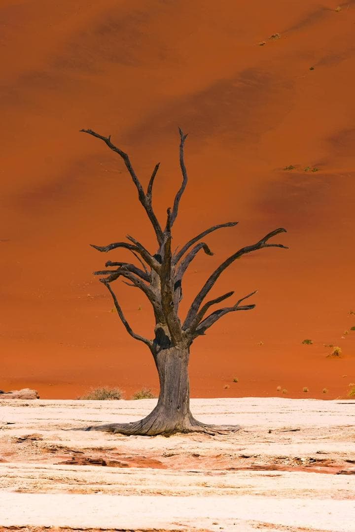 Sossusvlei