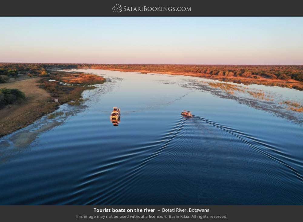 Boteti River 003