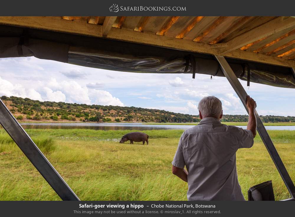 Chobe National Park 040