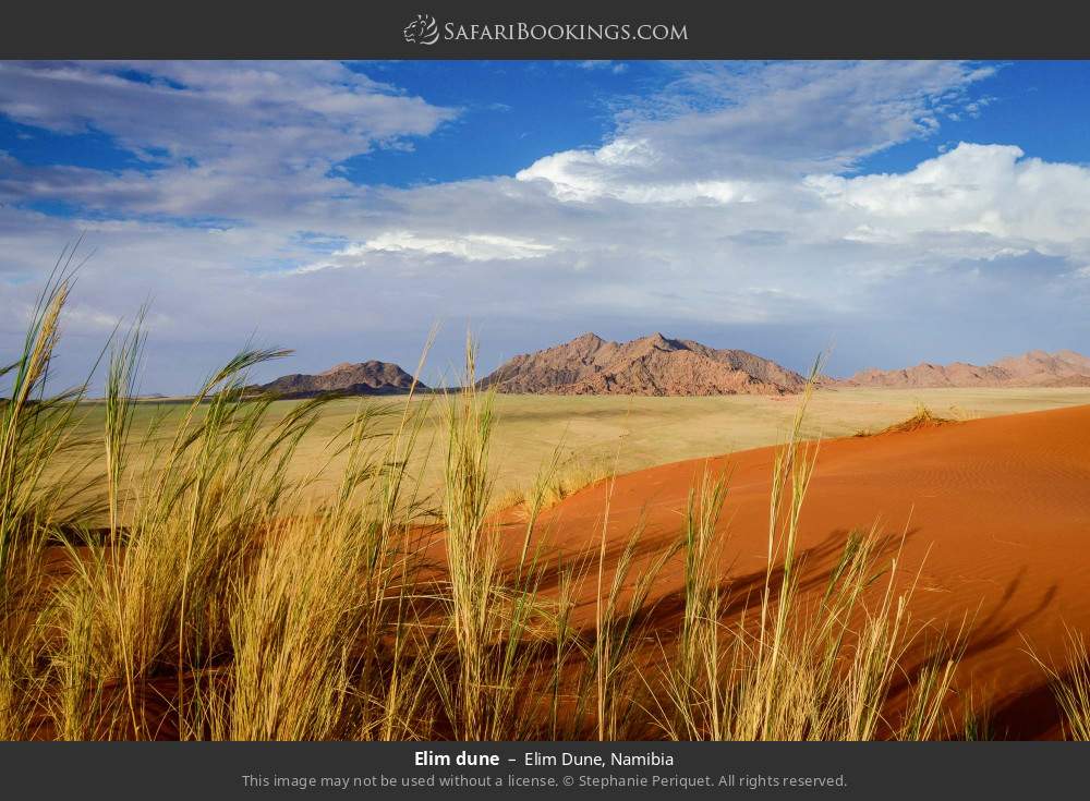 Elim Dune 001