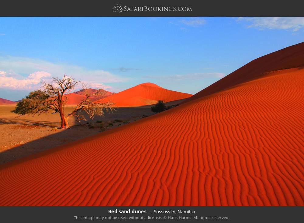 Sossusvlei 025